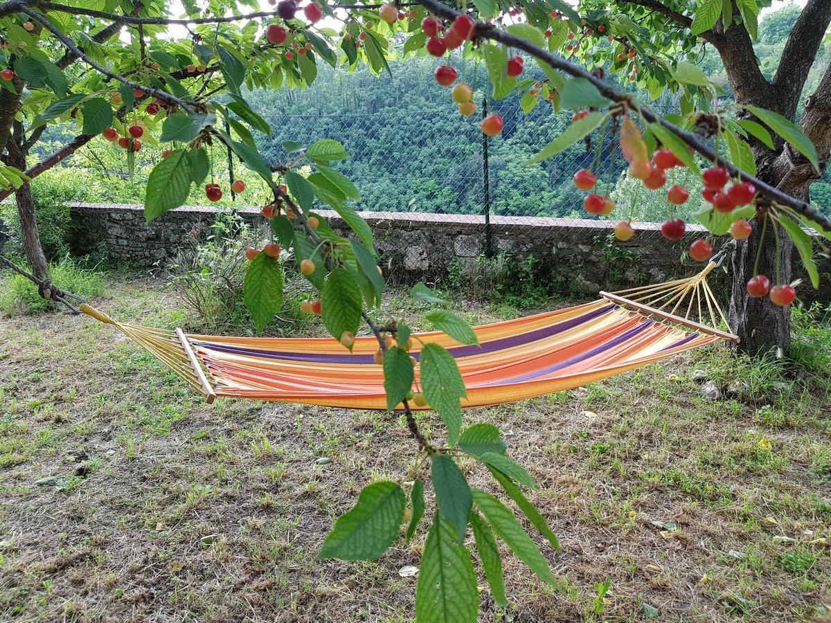 Guest House Il Giardino Colle di Val d'Elsa Exterior foto